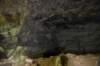 dsc_5326_fs_small.jpg