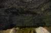 dsc_5327_fs_small.jpg