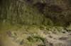 dsc_5333_fs_small.jpg