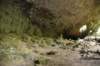 dsc_5334_fs_small.jpg