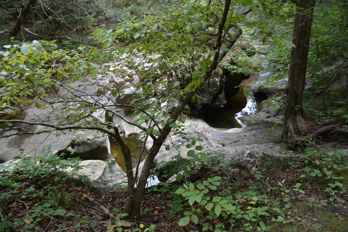 dsc_5366_fs.jpg