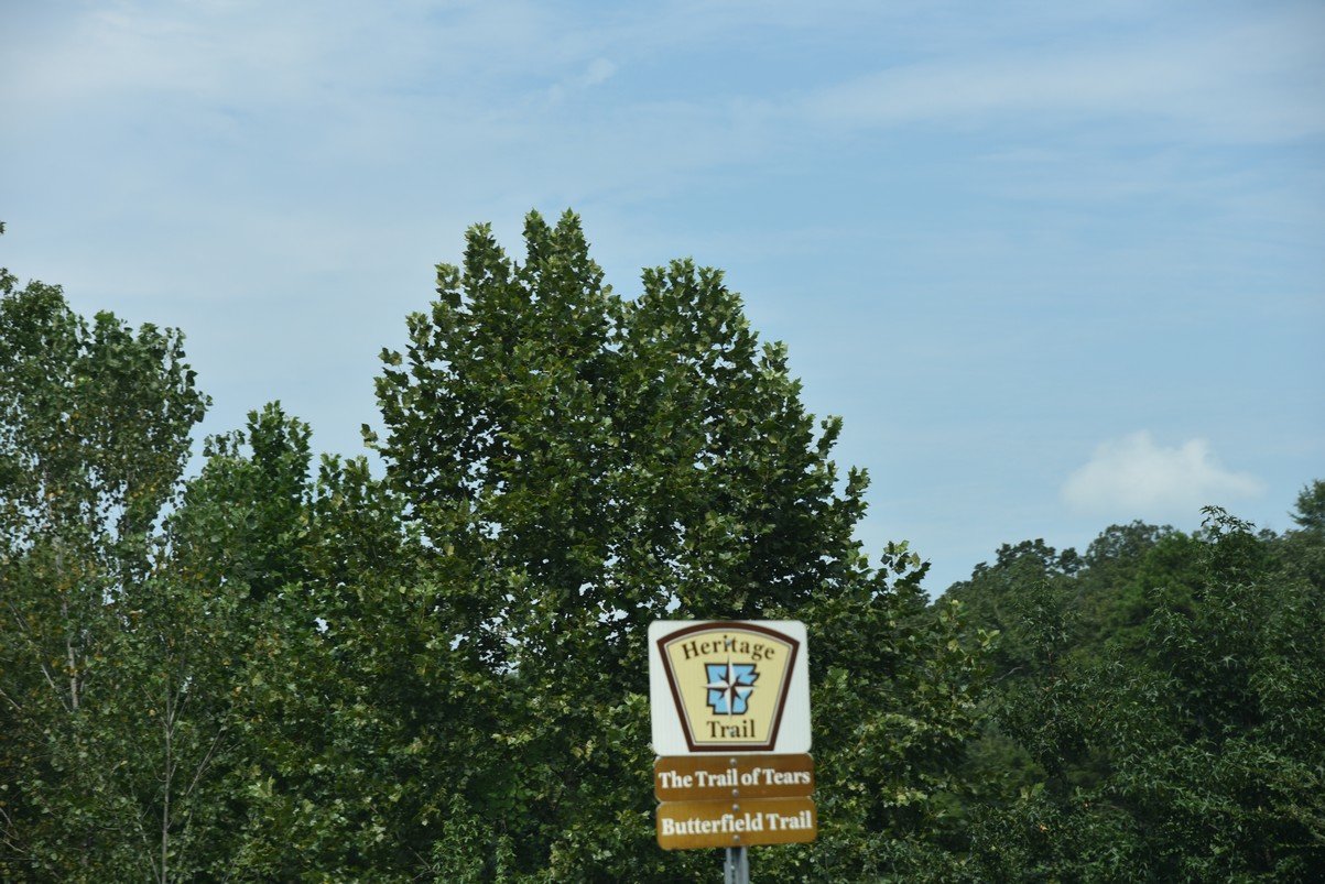 dsc_5493_fs.jpg