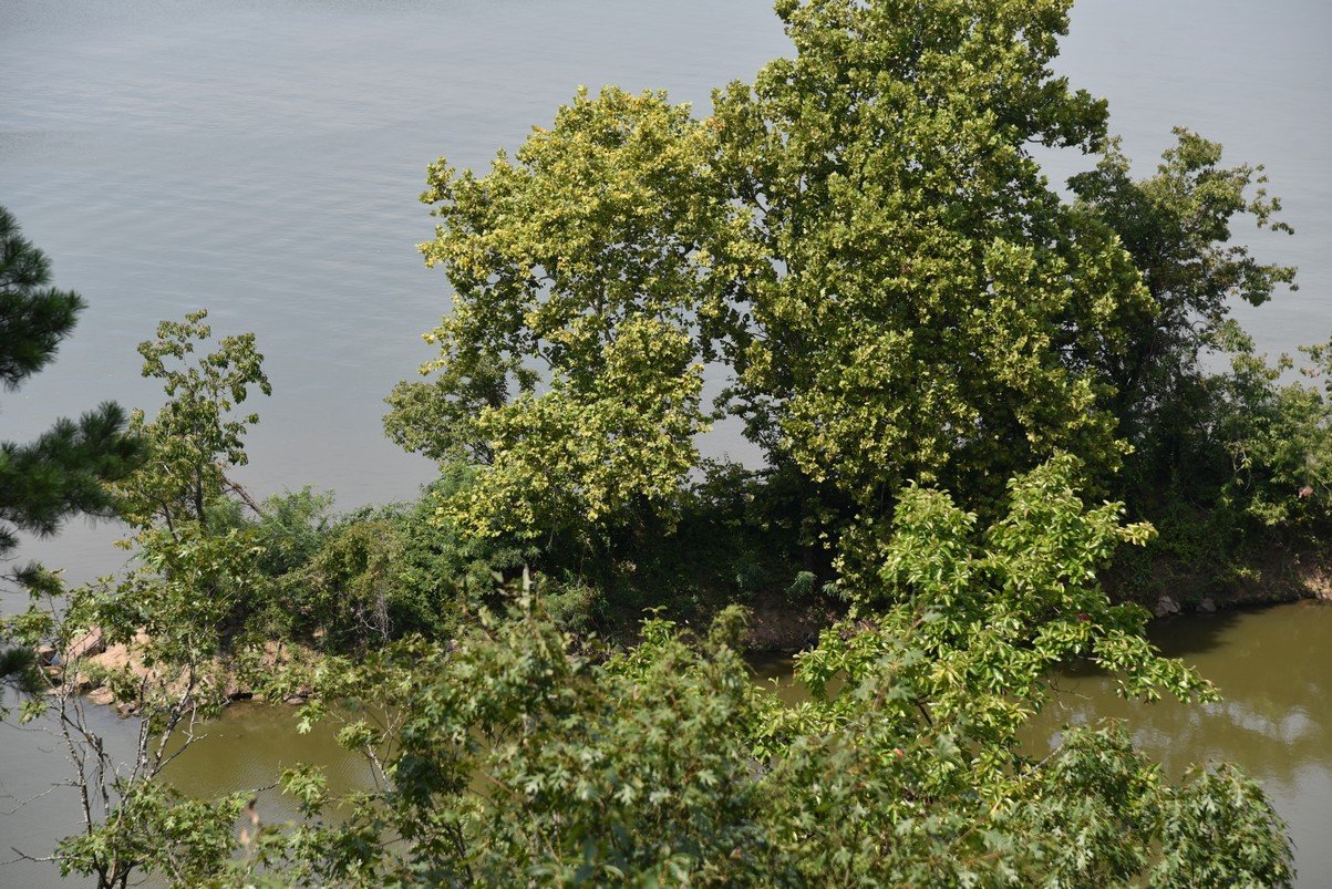 dsc_5500_fs.jpg