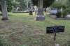 dsc_5561_fs_small.jpg