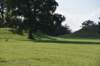 dsc_5595_fs_small.jpg