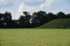 dsc_5599_fs_small.jpg