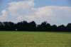 dsc_5601_fs_small.jpg