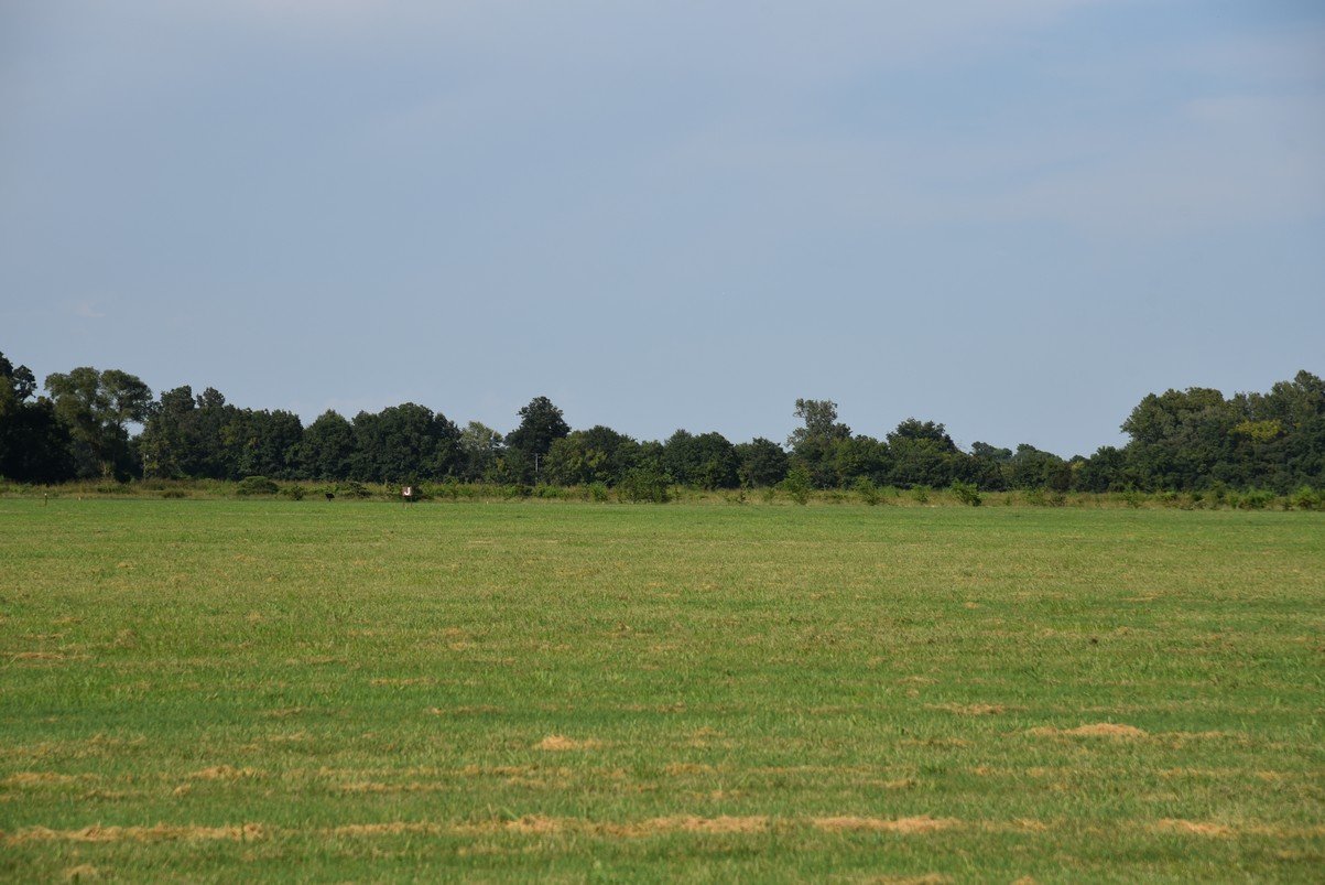 dsc_5645_fs.jpg
