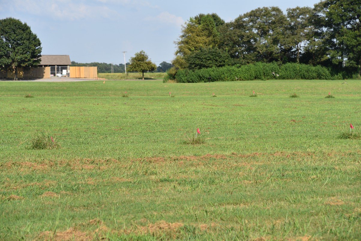 dsc_5652_fs.jpg