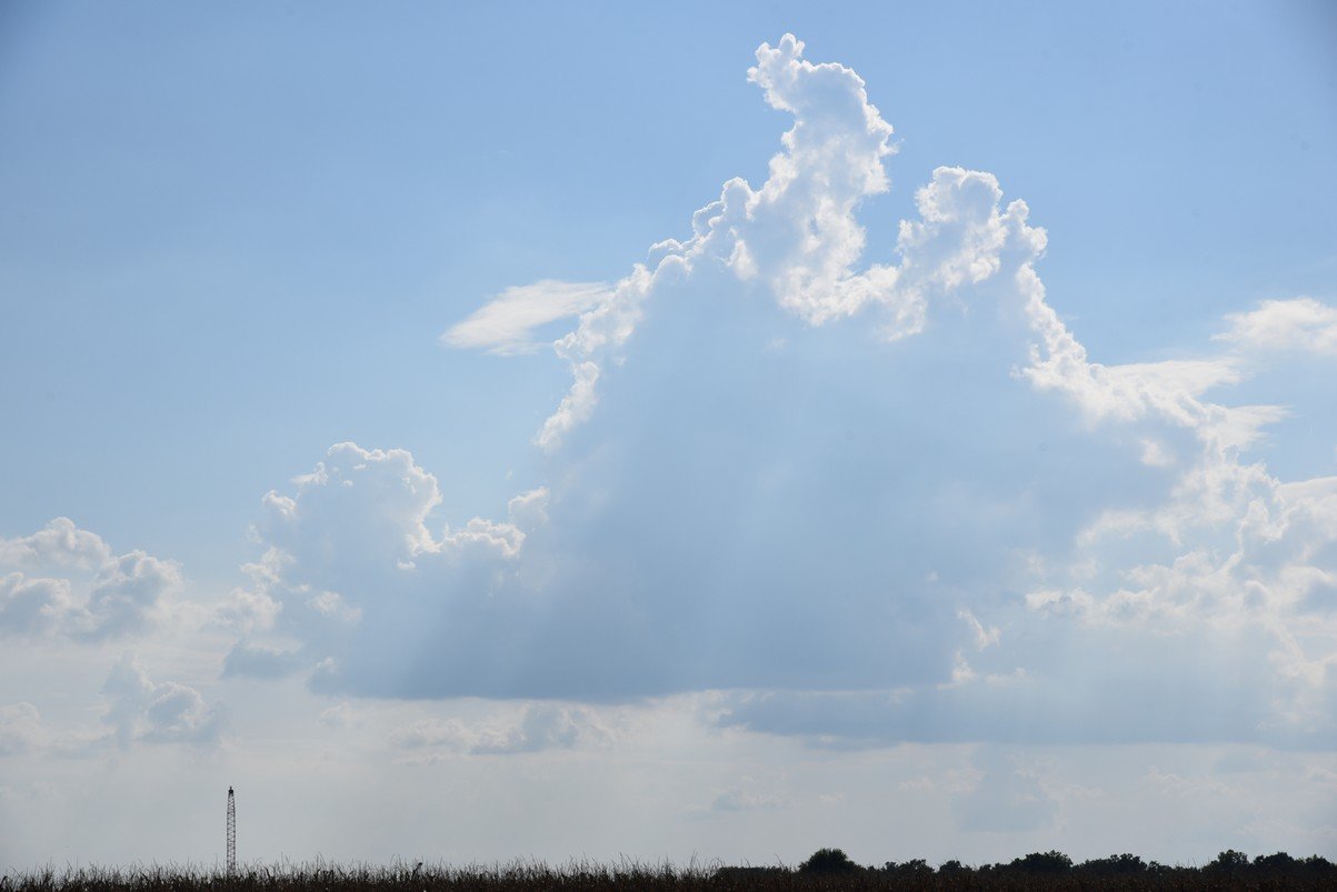 dsc_5672_fs.jpg