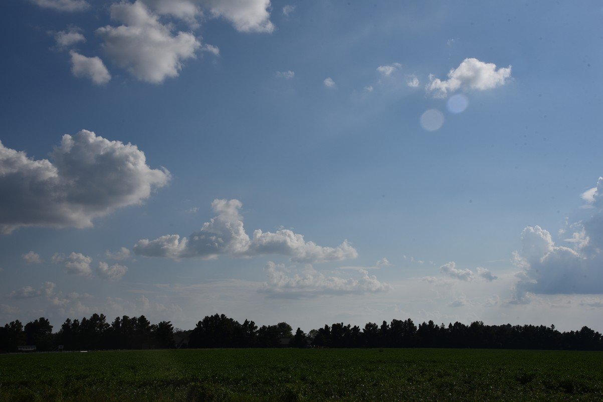 dsc_5674_fs.jpg