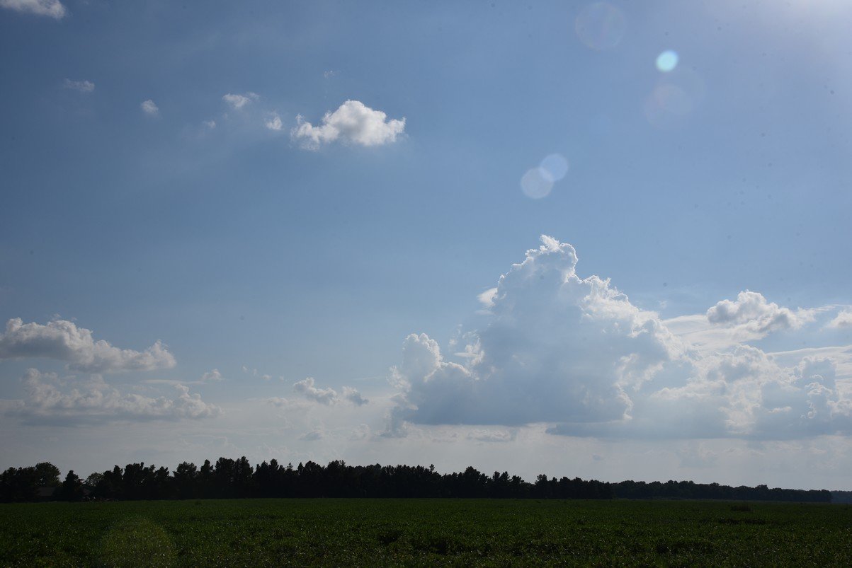 dsc_5675_fs.jpg