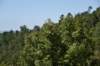 dsc_5718_fs_small.jpg