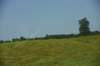 dsc_5883_fs_small.jpg