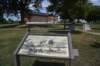 dsc_5899_fs_small.jpg