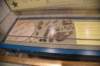 dsc_5909_fs_small.jpg