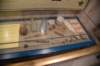 dsc_5911_fs_small.jpg