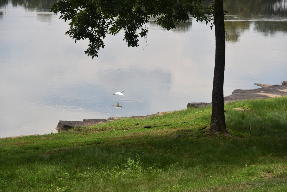 dsc_6046_fs.jpg