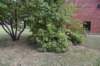 dsc_6078_fs_small.jpg
