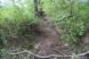 dsc_6118_fs_small.jpg