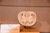 dsc_6179_fs_small.jpg