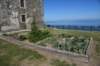 dsc_7597_fs_small.jpg