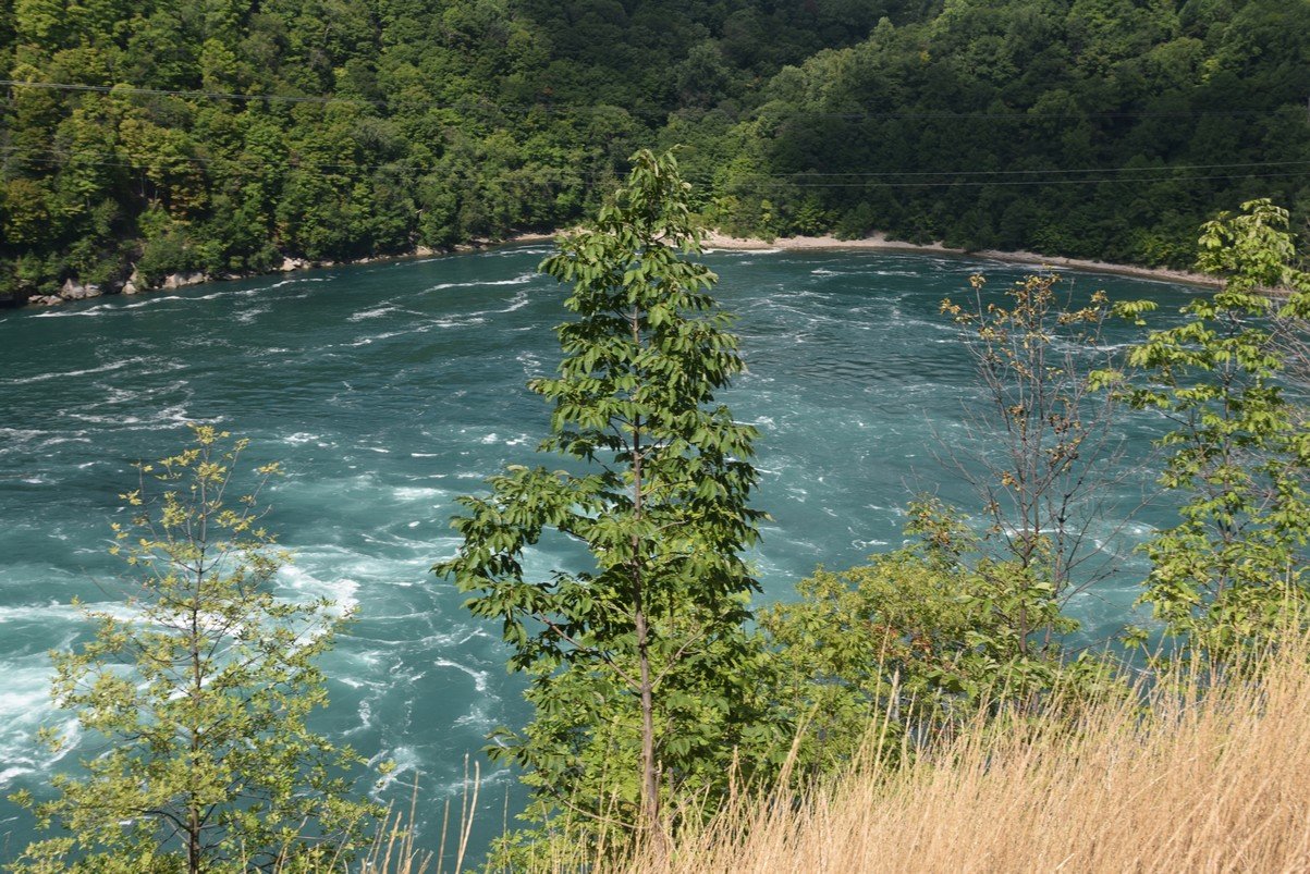 dsc_7627_fs.jpg