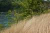 dsc_7629_fs_small.jpg
