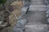 dsc_7638_fs_small.jpg