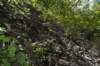 dsc_7641_fs_small.jpg