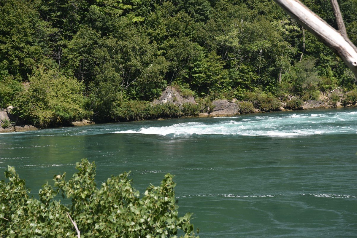 dsc_7643_fs.jpg