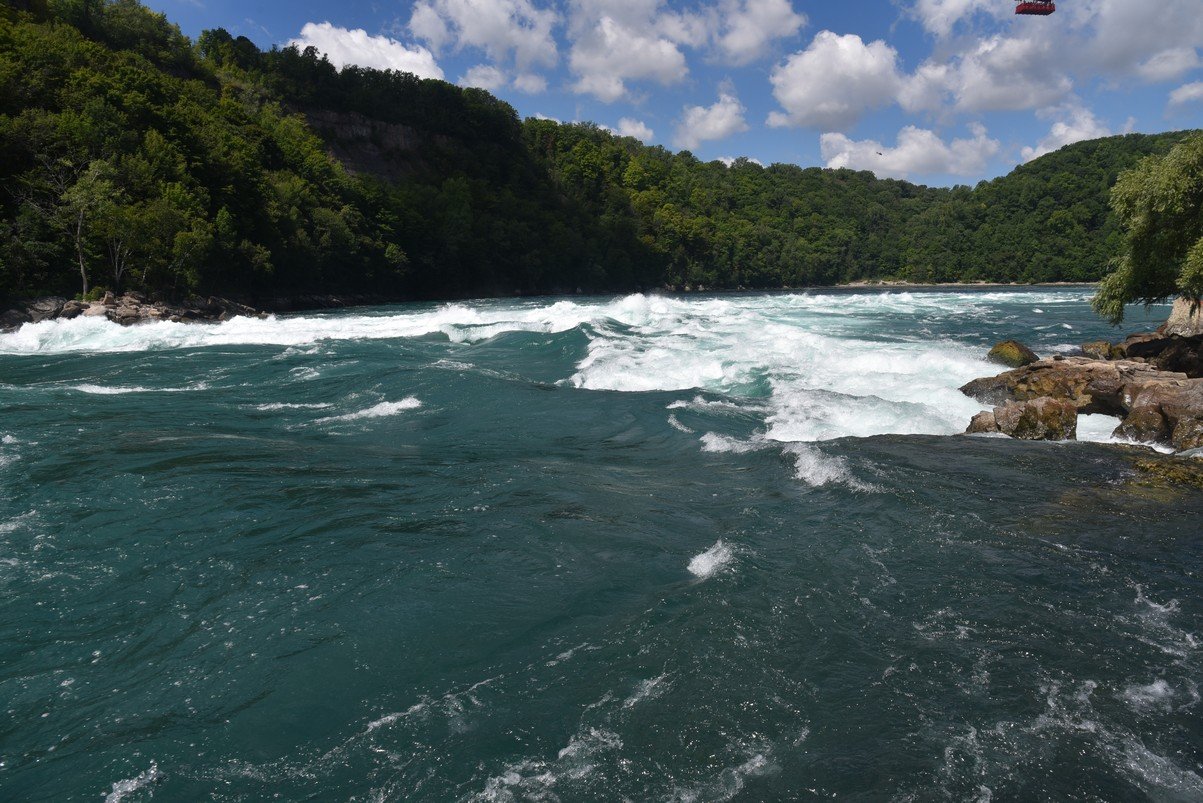 dsc_7668_fs.jpg