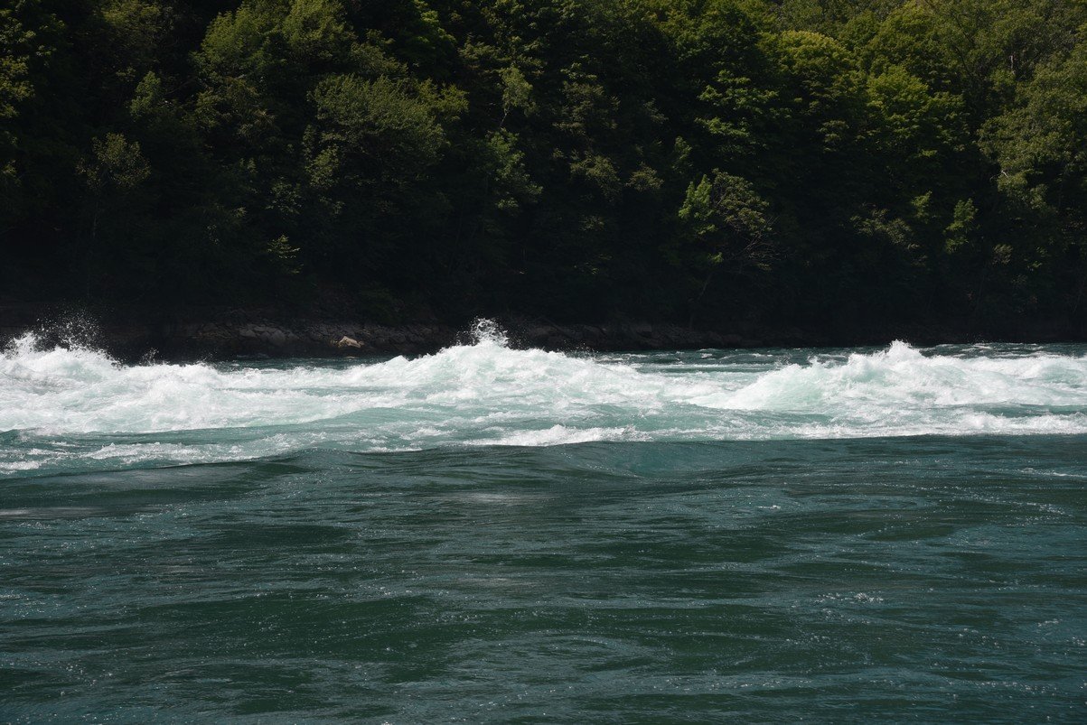 dsc_7678_fs.jpg