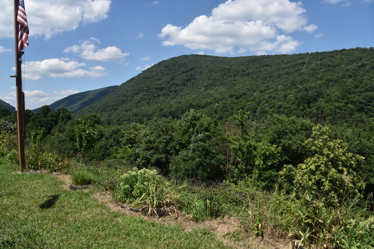 dsc_8053_fs.jpg