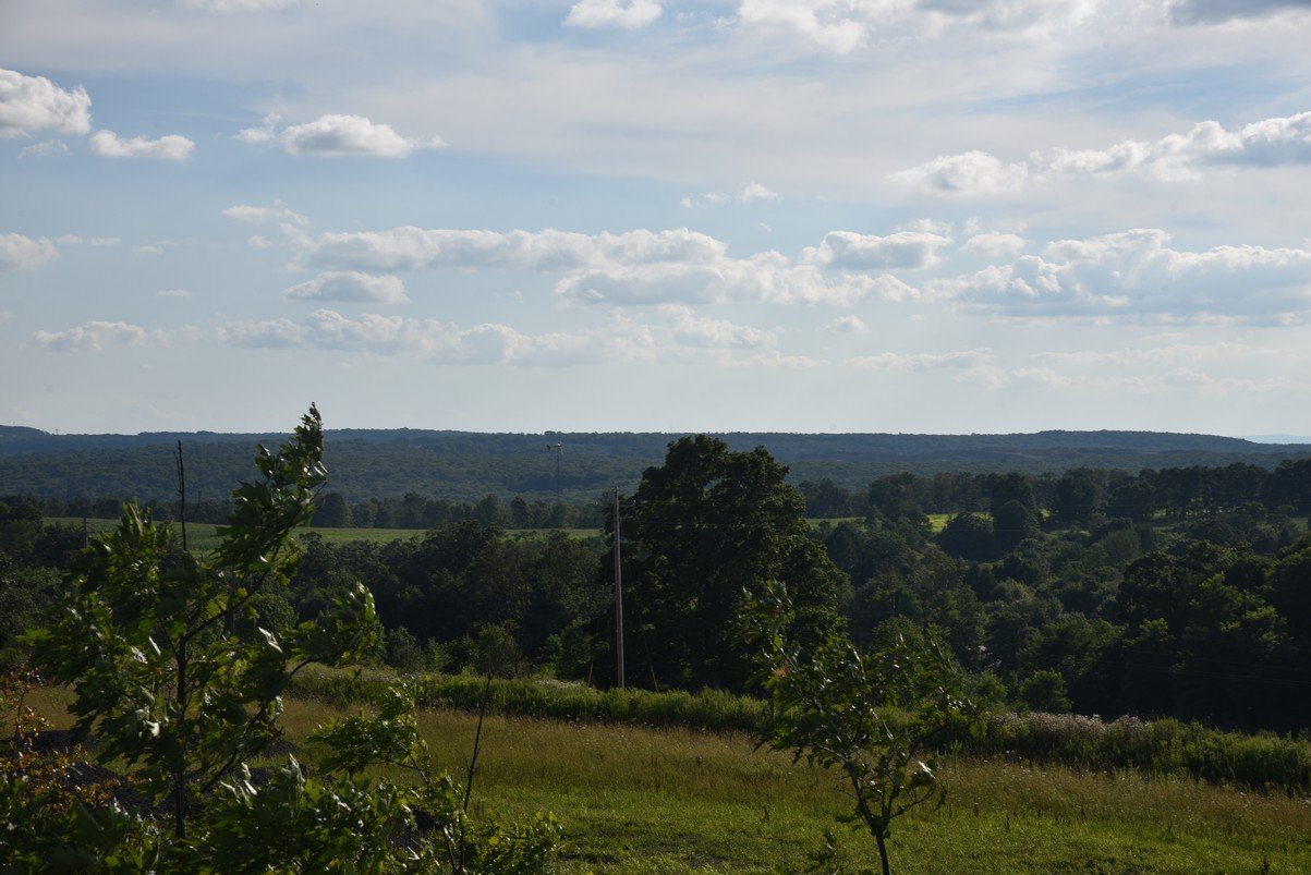 dsc_8257_fs.jpg