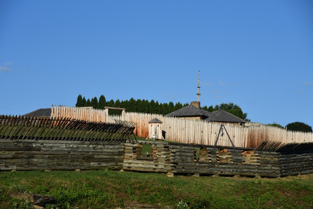 dsc_8300_fs.jpg
