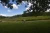 dsc_8341_fs_small.jpg