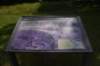 dsc_8348_fs_small.jpg