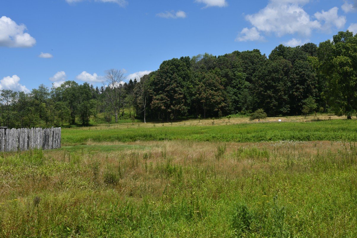 dsc_8352_fs.jpg