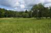 dsc_8354_fs_small.jpg