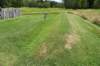 dsc_8369_fs_small.jpg