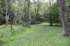dsc_8385_fs_small.jpg