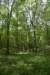 dsc_8460_fs_small.jpg