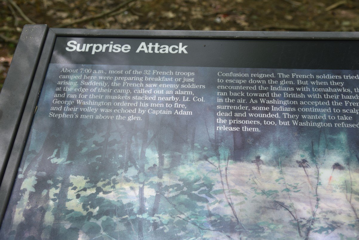 dsc_8464_fs.jpg