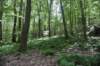 dsc_8467_fs_small.jpg