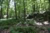 dsc_8468_fs_small.jpg
