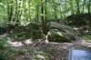 dsc_8470_fs_small.jpg