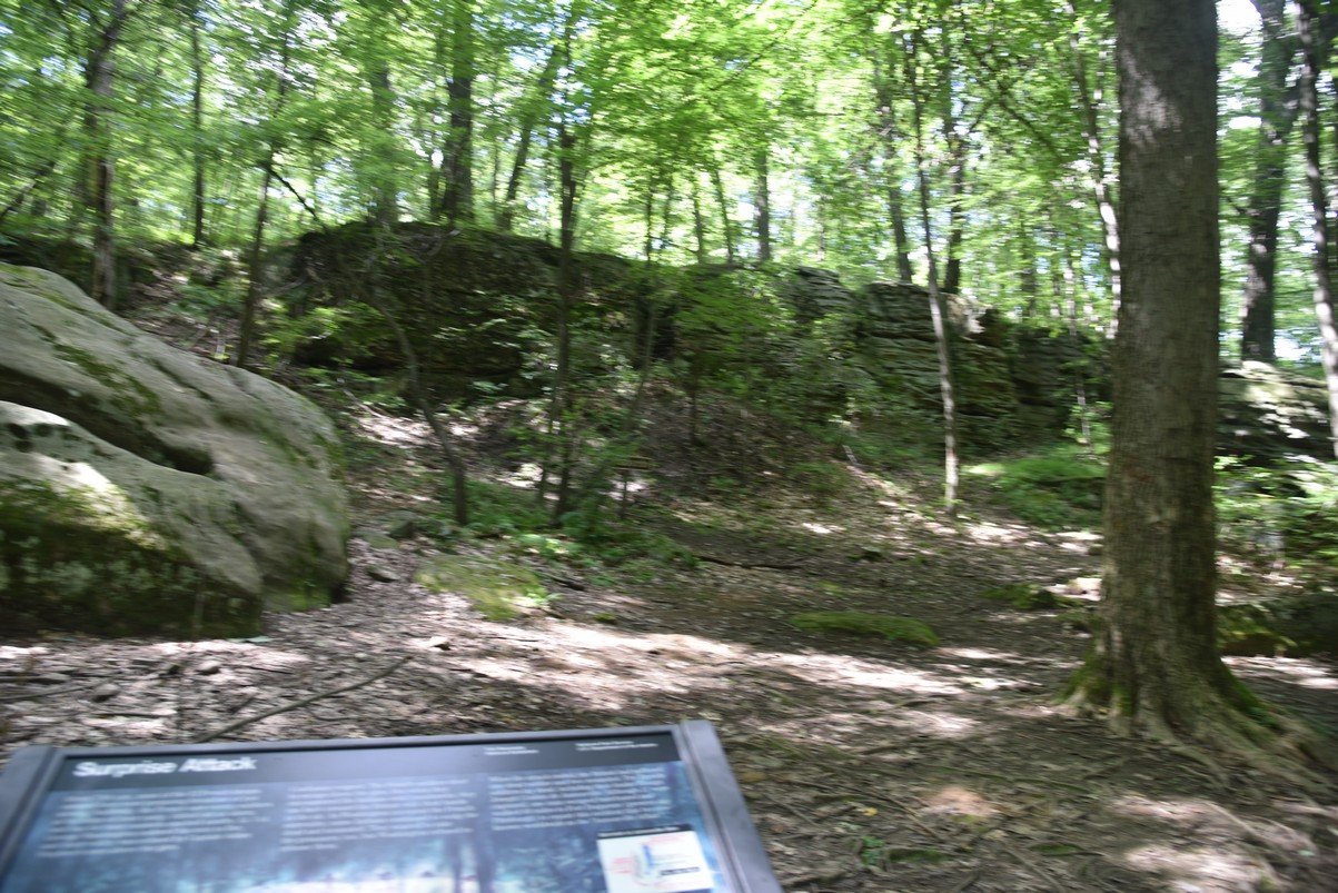 dsc_8472_fs.jpg