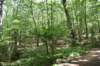 dsc_8478_fs_small.jpg