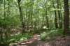 dsc_8479_fs_small.jpg